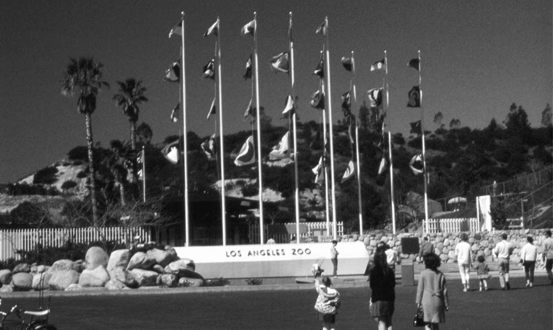Oringinal front entrance to the Los Angeles Zoo in 1963. People walking to toward the entrance with 10 flags and rock on both sides of the entrance.