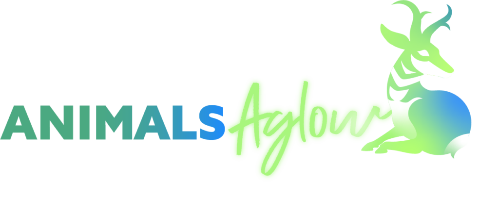 LA Zoo Lights Logo